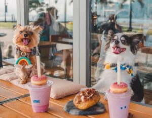 Dog-Friendly Restaurants Hong Kong