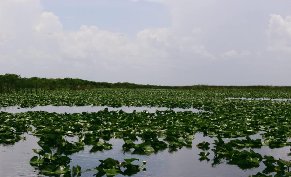 Everglades National Park