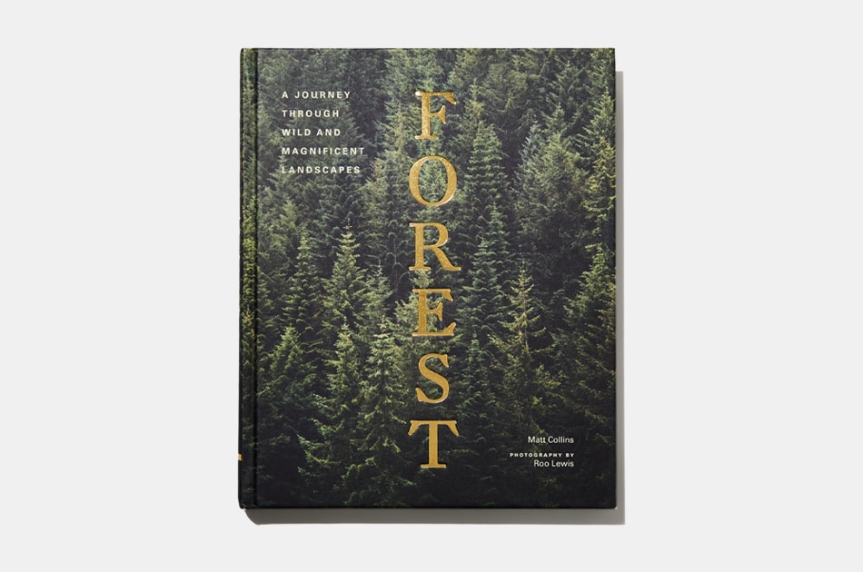 Forest: A Journey Through Wild and Magnificent Landscapes