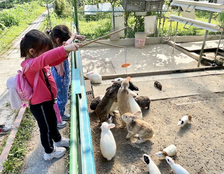 Hong Kong Organic Farms Holiday Farm