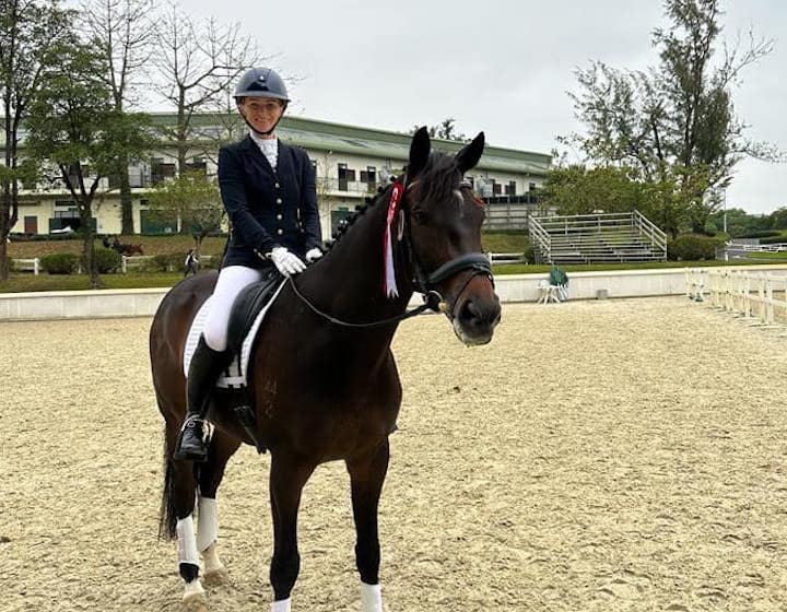 Horse Riding Schools Hong Kong Lo Wu Saddle