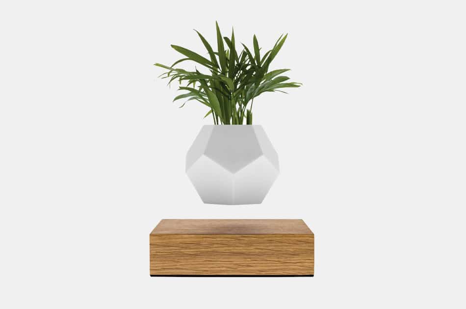 Lyfe Hovering Planter