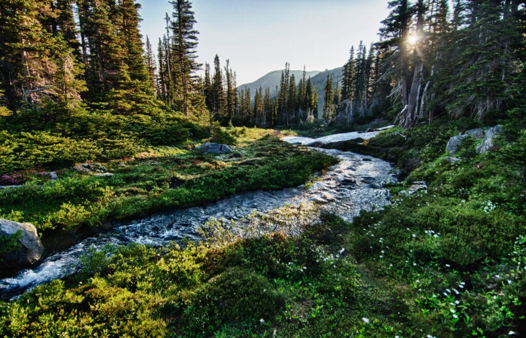 Olympic National Park