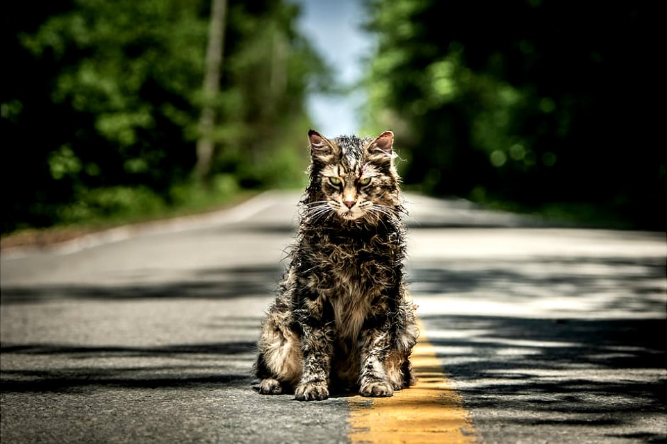 Pet Sematary 2019