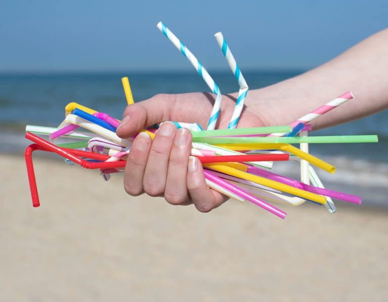 Sinfreestraws hero image