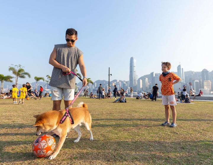 West Kowloon Art Park Pet Friendly